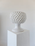 Pigna Bowl White (Extra Large)