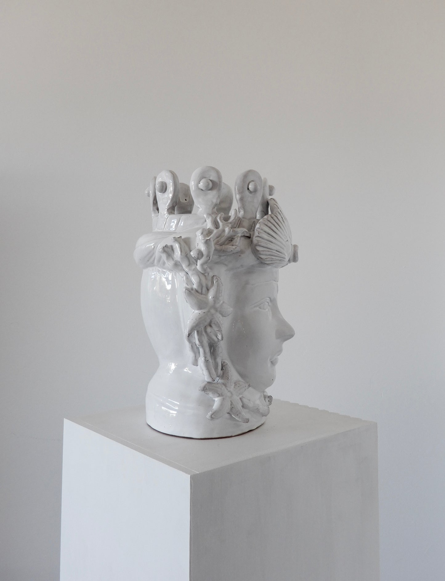 Testa Di Moro White (Extra Large)